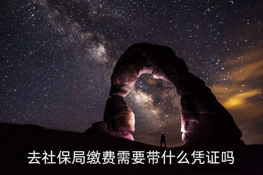 去社保局申報(bào)年度繳費(fèi)工資需要帶什么證件，去社保局繳費(fèi)需要帶什么憑證嗎