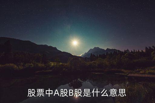 b股有什么意義，股票中A股B股是什么意思
