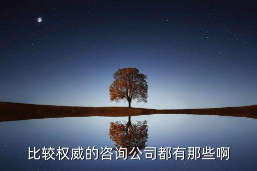艾瑞和易觀是什么公司，易觀國際有幾個(gè)子公司