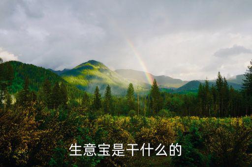 生意寶屬于什么版塊，生意寶聽說過嗎聽說能快速賺錢是真的假的