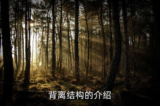 什么是帶結(jié)構(gòu)的背離，背離結(jié)構(gòu)的介紹