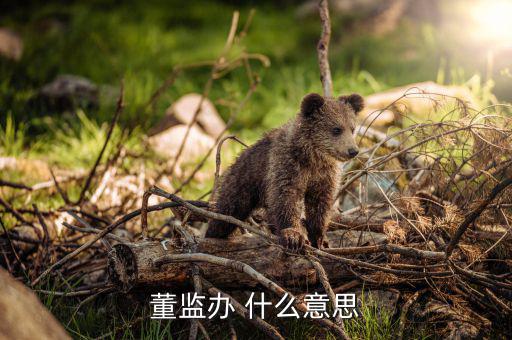 什么是董監(jiān)事會(huì)，董監(jiān)辦 什么意思