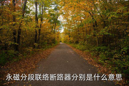 什么是永磁開關，什么是永磁