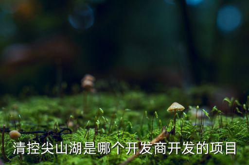 清控尖山湖是哪個開發(fā)商開發(fā)的項(xiàng)目