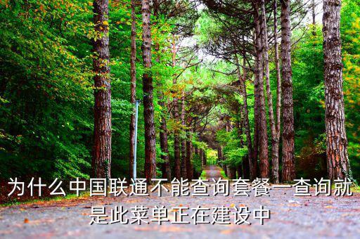 為什么中國(guó)聯(lián)通不能查詢套餐一查詢就是此菜單正在建設(shè)中