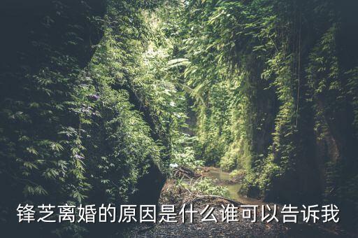 胡芝容為什么離婚，鋒芝戀離婚原因是為什么