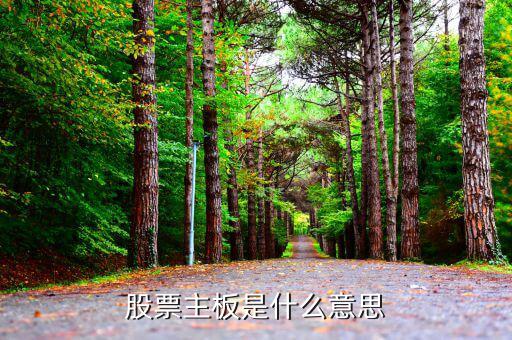 股市主板是什么，股市主板具體指什么