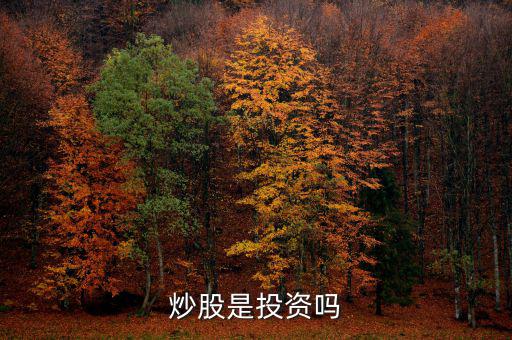 炒股算投資還是什么，炒股是投資嗎