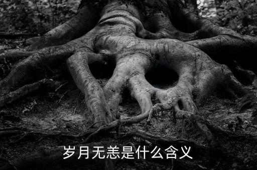 aapl是什么意思，PRQ是什么意思