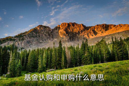 基金認(rèn)申購(gòu)什么意思，基金中的認(rèn)購(gòu)是什么意思