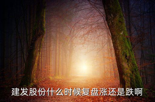 002719股什么時(shí)候復(fù)盤，000719什么時(shí)候復(fù)牌啊