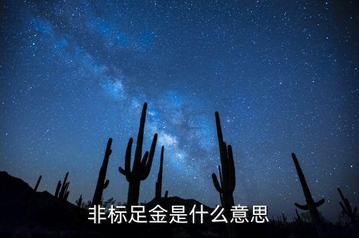 什么是金融非標(biāo)產(chǎn)品，什么叫非標(biāo)融資