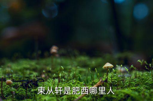 朱從玖肥西什么地方人，kimson肥西是哪里人