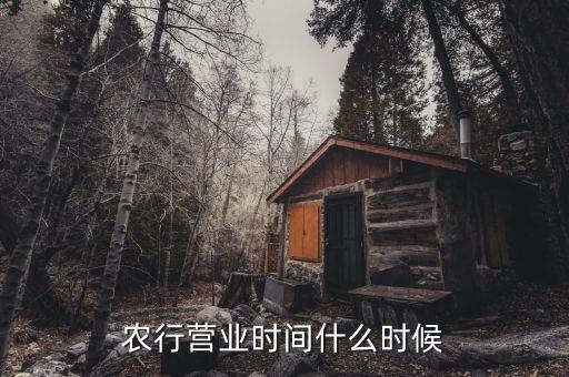 農(nóng)行什么時(shí)候上班，農(nóng)行上班時(shí)間