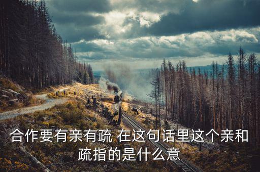 合作要有親有疏 在這句話(huà)里這個(gè)親和疏指的是什么意