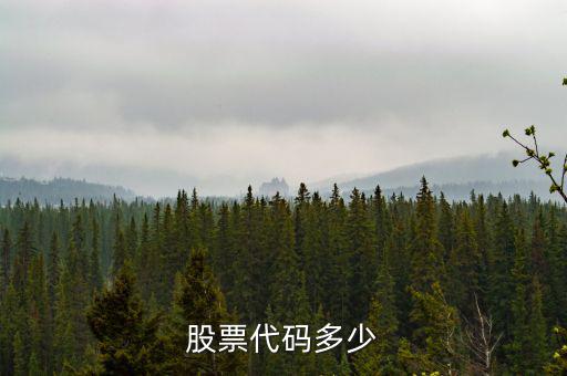 b股代碼以什么開頭，a股和b股代碼怎樣區(qū)分