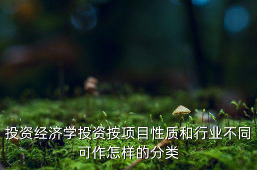 什么是公共消費性投資，如何理解消費投資