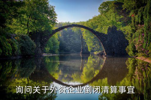 沈陽投資公司跑路市政府什么解決，詢問關(guān)于外資企業(yè)倒閉清算事宜