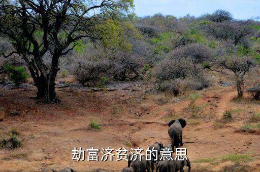 劫貧濟富是什么意思，劫富濟貧濟的意思