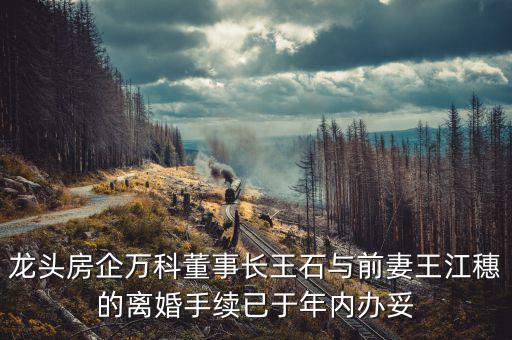王石什么時(shí)候離婚的，龍頭房企萬科董事長王石與前妻王江穗的離婚手續(xù)已于年內(nèi)辦妥