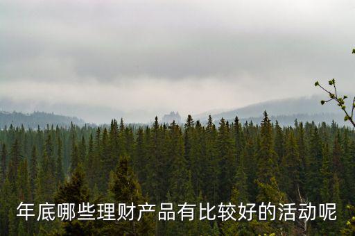 年底哪些理財產品有比較好的活動呢