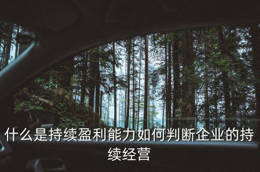 什么是持續(xù)盈利能力，什么是具備持續(xù)贏利能力的行業(yè)