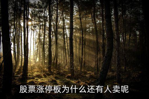 為什么已經(jīng)漲停的股票那么多人買，當(dāng)天漲停的股票為什么還有那么多人買入跟進(jìn)呢