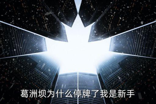 葛洲壩為什么停牌，葛洲壩為什么8月21日停牌