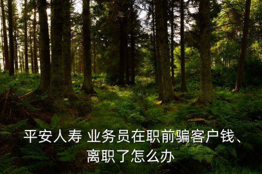  平安人壽 業(yè)務(wù)員在職前騙客戶(hù)錢(qián)、離職了怎么辦