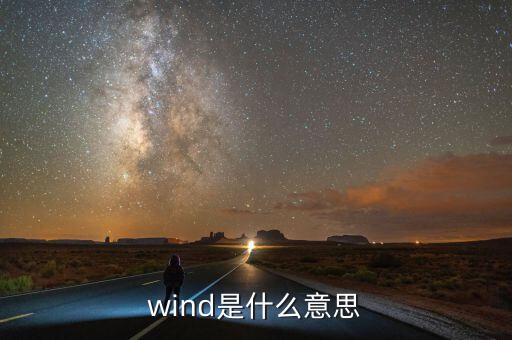 wind數(shù)據(jù)是什么，wind是什么意思