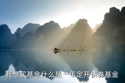 定開債券是什么意思，我想買基金什么是一年定開債券基金