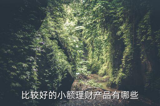 有什么小額理財產(chǎn)品，小額理財投資產(chǎn)品有哪些