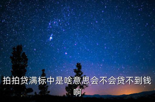 拍拍貨不滿標(biāo)什么意思，拍拍貸滿標(biāo)是什么意思