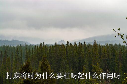 為什么要用杠桿，為什么有些杠桿要設(shè)計成費力的呢