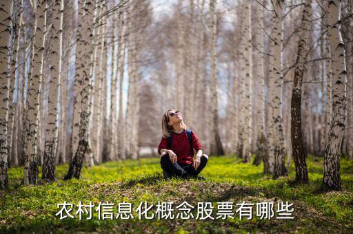 農(nóng)村富了什么股票，農(nóng)村信息化概念股票有哪些