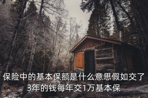 基本保額是什么意思，基本保險(xiǎn)金額是什么意思