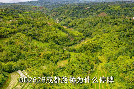 成都路橋今天什么情況，今天早成都等路橋的航班有沒(méi)有停航
