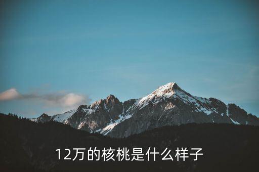 36萬核桃長(zhǎng)什么樣，大家看這個(gè)核桃做的怎樣值多少