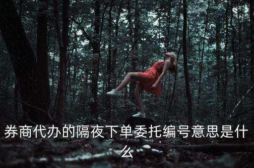 股票委托編號是什么意思，股票交易中委托編號208中208是什么意思