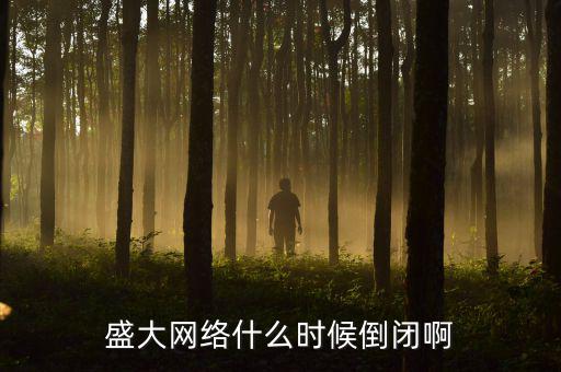 美國(guó)盛大游戲什么時(shí)間退市，盛大倒閉確切日期
