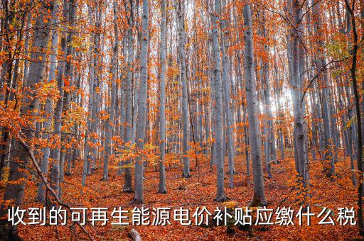 收到的可再生能源電價補貼應繳什么稅