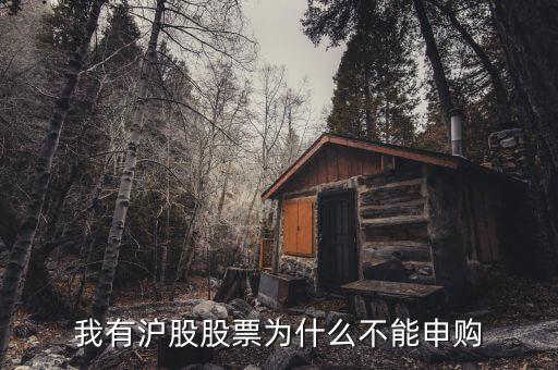 為什么我不能申購滬市新股，我有滬股股票為什么不能申購