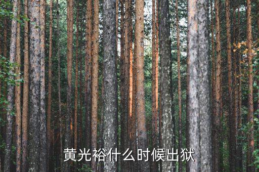黃光裕什么時(shí)候出獄，黃光裕什么時(shí)候出獄