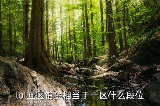 鉑金三什么水平，鉑金純度有幾個(gè)檔次