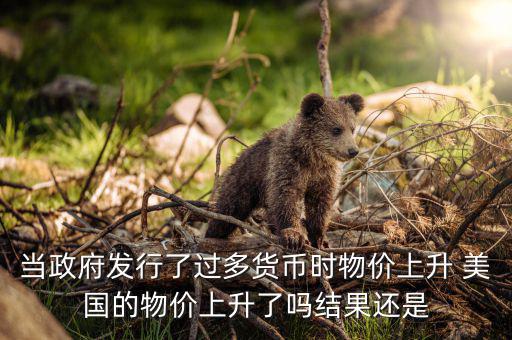 當(dāng)政府發(fā)行了過多貨幣時物價(jià)上升 美國的物價(jià)上升了嗎結(jié)果還是