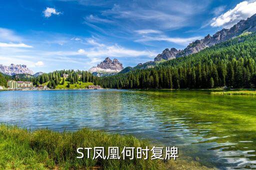 st鳳凰什么時(shí)候復(fù)牌，長(zhǎng)航鳳凰2013年七月一日怎么停牌了啊