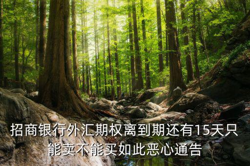 為什么不能購(gòu)買(mǎi)招商銀行期權(quán)，招商銀行外匯期權(quán)怎么了獲利200點(diǎn)還賠錢(qián)