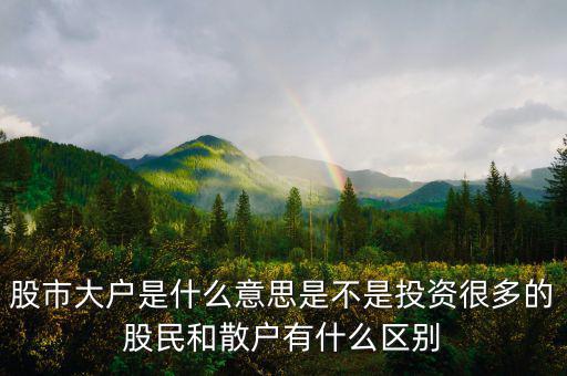 炒股大戶是什么意思，股票中的大戶是什么意思