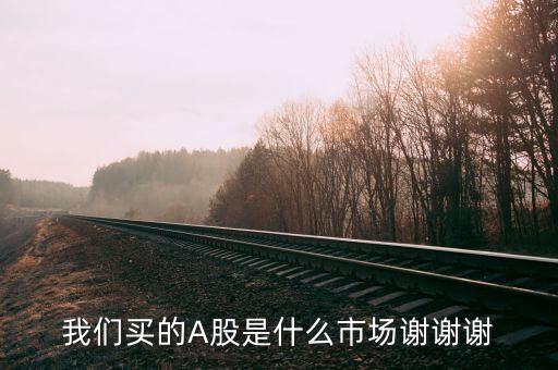我們買的A股是什么市場(chǎng)謝謝謝