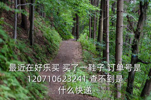 好樂買發(fā)什么快遞，我在好樂買用網(wǎng)銀付款買了雙鞋子請(qǐng)問他們都用什么快遞發(fā)貨
